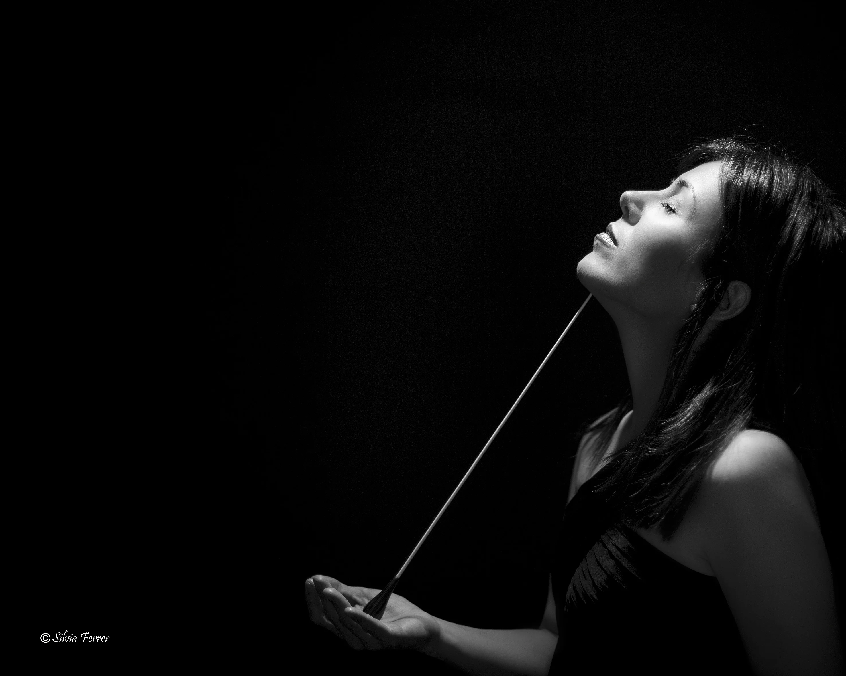 Sibelius