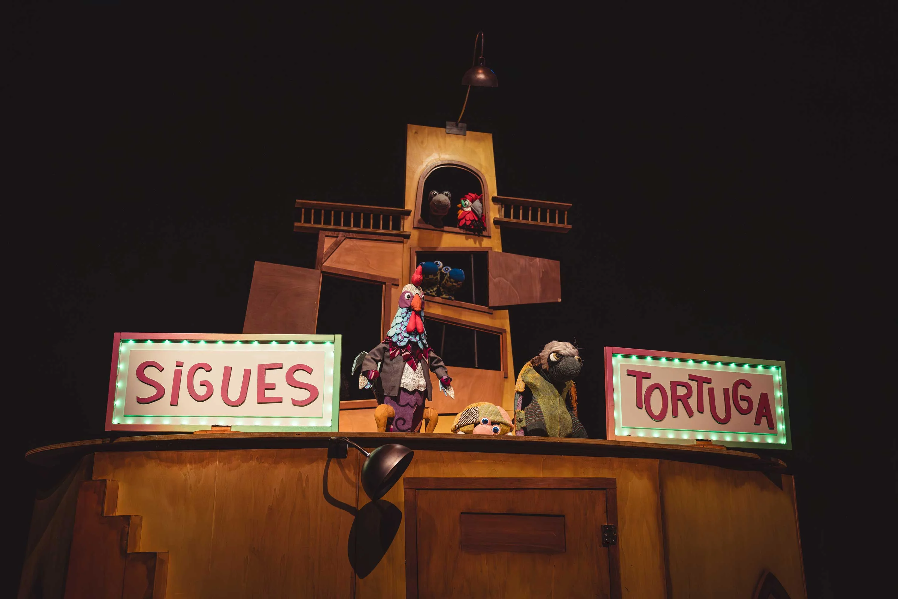 Sigues tortuga